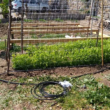 بيت ضيافة Allo Scoglio - Azienda Agricola