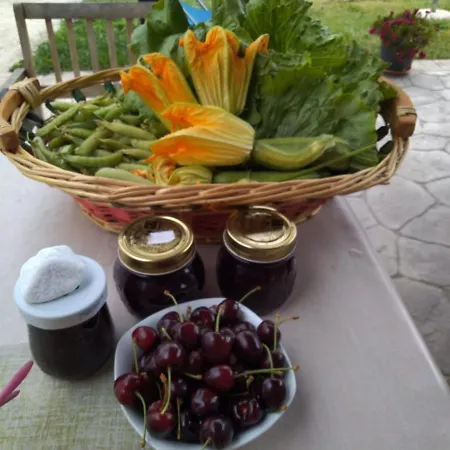 بيت ضيافة Allo Scoglio - Azienda Agricola *