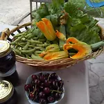 招待所 Allo Scoglio - Azienda Agricola 的里雅斯特
