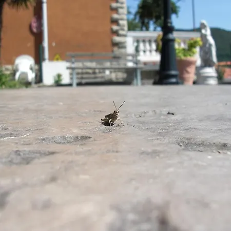 Allo Scoglio - Azienda Agricola * Trieste