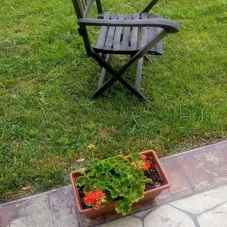 招待所 Allo Scoglio - Azienda Agricola 的里雅斯特