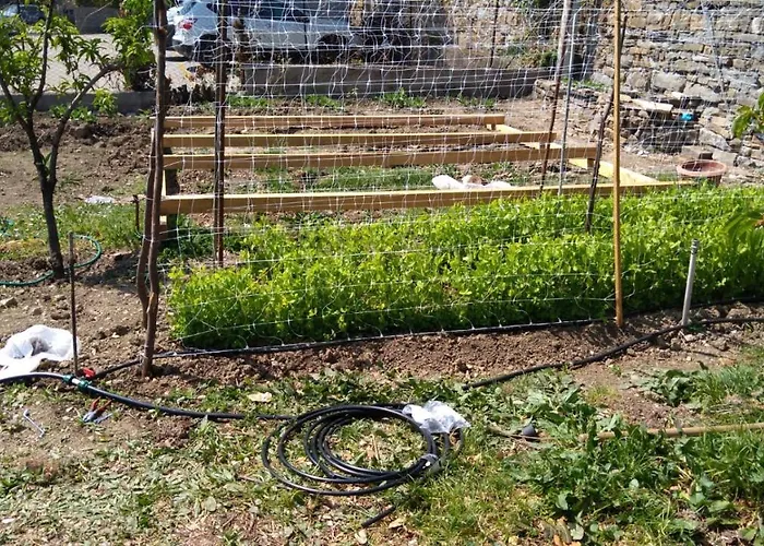 Gasthuis Allo Scoglio - Azienda Agricola