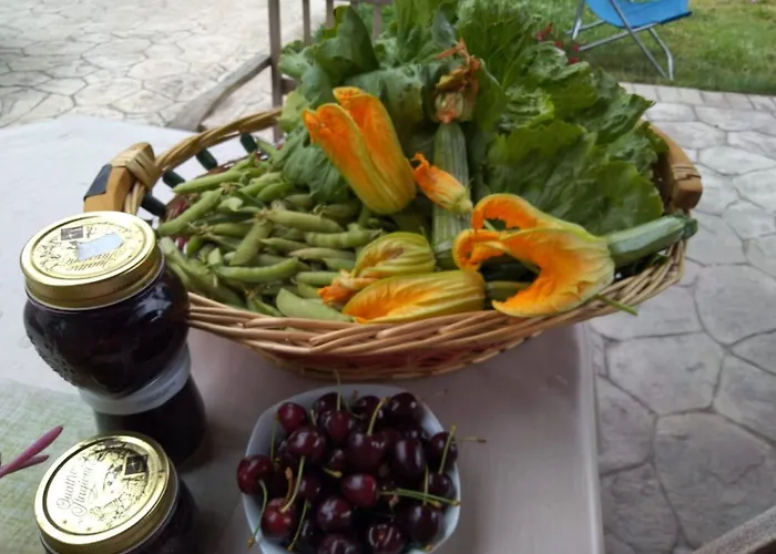 Gasthuis Allo Scoglio - Azienda Agricola Triëst