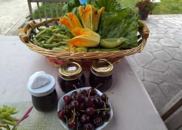 Gasthuis Allo Scoglio - Azienda Agricola *