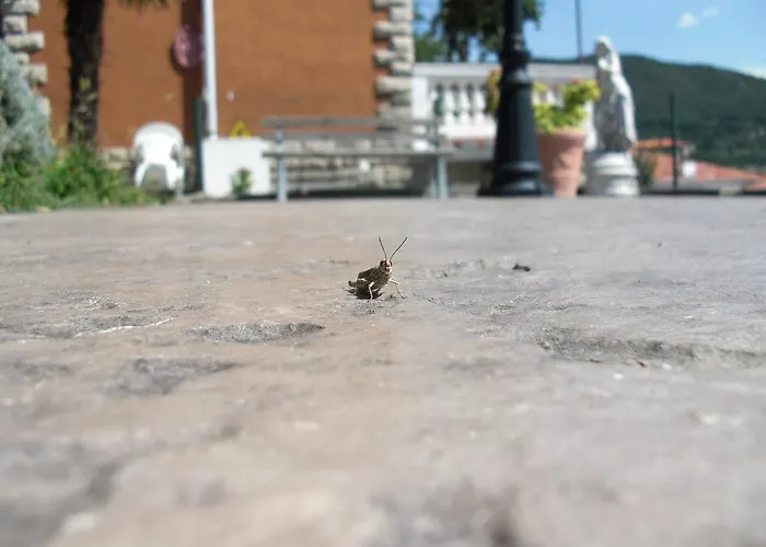 Allo Scoglio - Azienda Agricola * Triëst