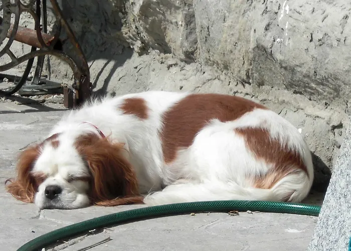 Allo Scoglio - Azienda Agricola Triëst
